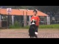 Dog Training Singapore with kids - Isaac Wong Dog Training Singapore with kids - Isaac Wong