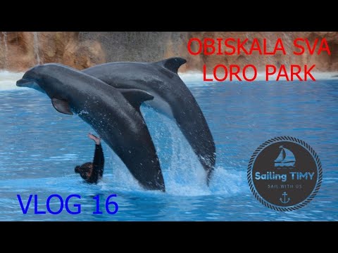Jadranje potovanje okoli sveta - Loro park Tenerife #16
