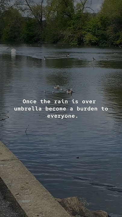 once-the-rain-is-over-umbrella-become-a-burden-to-everyone