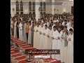 ولو ترى إذ الظالمون فى غمرات الموت كأنه يصور لك المشهد 