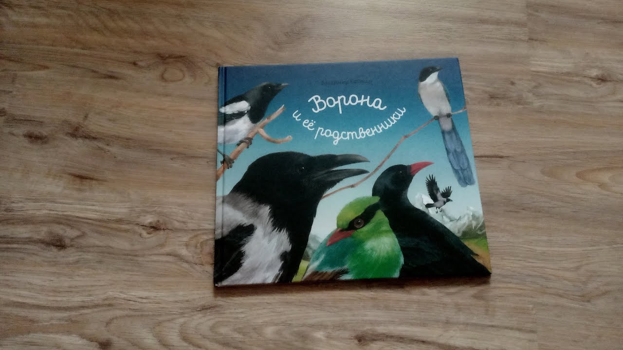 Ворона и её родственники/ В. Бабенко/  ил. Н. Габеевой/ "Лабиринт" - 45%
