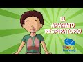 EL APARATO RESPIRATORIO | Videos Educativos para Niños