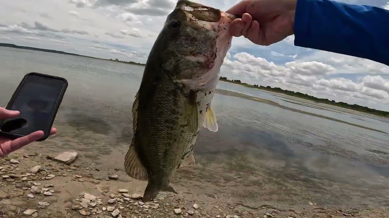 Big Bass in Stillhouse Hollow Lake