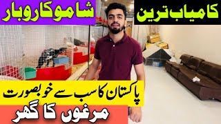 Pakistans Most Beautiful Shamo Setup Big Opportunity For Beginners In Pakistan