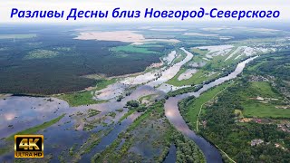 Разливы Десны близ Новгород-Северского