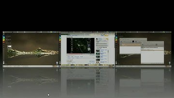 Ubuntu 9.04 + Compiz Fusion