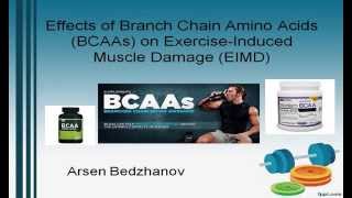Research Study Breakdown Branch Chain Amino Acids Bcaas