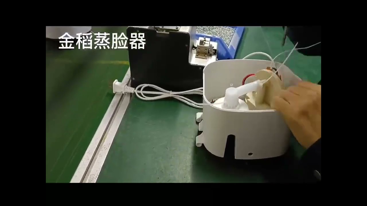 Ionic Facial Steamer (with LED spa)