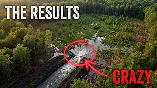 We Flooded This Forest to Save It (The Results Were Crazy)