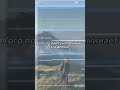 [FREE] SAD ACOUSTIC x КОРОЛЕВСКИЙ XVII type beat - «ЛЕПЕСТКИ»