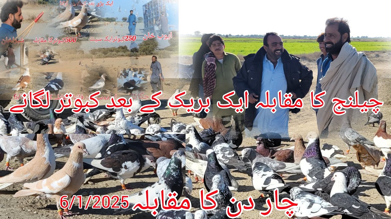 Ustad Sabir ka Mukabala 4 Din Ka final dusri site Ustad Ayub Khan ka Mukabala