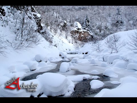 Apolas Lermi          Bilettum Orağumi     AKBULUT KASETÇİLİK / AKÇAABAT