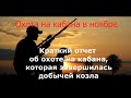 Охота на кабана которая завершилась добычей козла