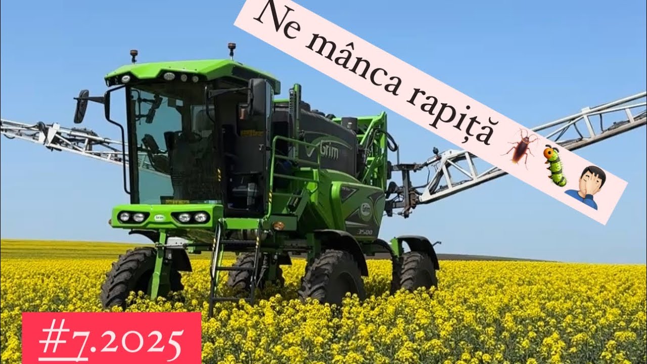 #dailyvlog 4 TONE la rapiță doar cu un biostimulator?