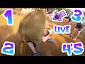 Doing 1234 S On Random YT Videos Using A Generator LIVE 2 Doing 1234 S On Random YT Videos Using A Generator LIVE 2
