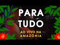 Jeito moleque  para tudo ao vivo na amaznia