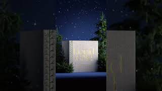 How a mead packaging vid is made 🎄 #packaging #christmas #3d #3danimation