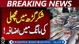 Shakargarh sees rise in fish demand as citizens complain about prices - Pakistan news Shakargarh sees rise in fish demand as citizens complain about prices - Pakistan news