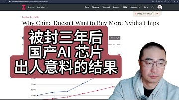 【第452期】被封三年后，国产AI 芯片出人意料的结果