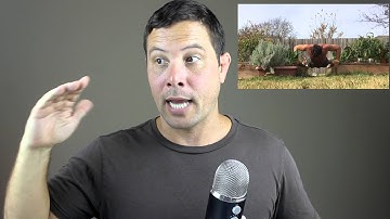 WIM HOF BREATHING & PUSH UPS