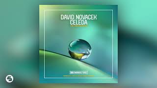 David Novacek ft  Celeda   The Underground (Croatia Squad &amp; Daniel Portman Remix)