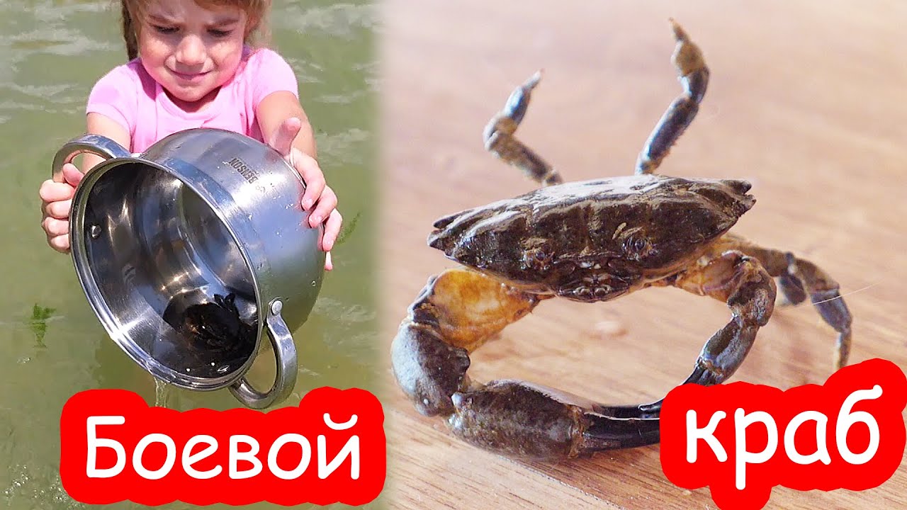 Ремвставка краба калина