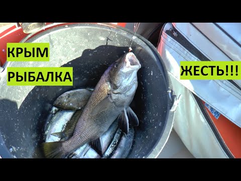 Это ЖЕСТЬ!!! Супер рыбалка Крым. Севастополь. Море