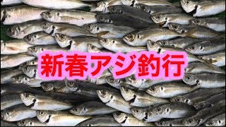 なべチャンネル タイラバ釣行記375  新春アジ釣行の巻