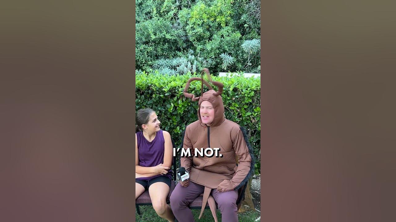 Can Siblings Catch Lice? YouTube