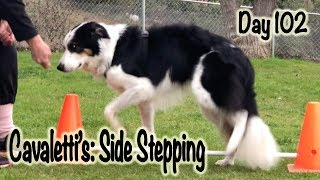 Day 102: Cavaletti's - Side Stepping
