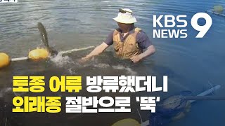 ‘토종 어류의 반격’…외래종 절반으로 ‘뚝’ / KBS뉴스(News)