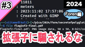 【CTF入門#3】SecretOfPolyglotを解く！【picoCTF2024 / Foren】#サイバーセキュリティ #プログラミング