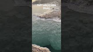 Salt lake in Abu Dhabi. Hidden gems in UAE
