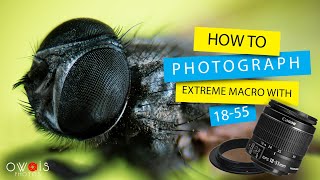 How to capture extreme macro shot on 18-55 lens