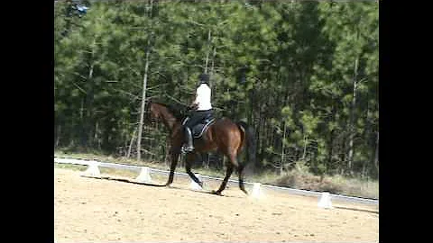 #120 Karin Reese  - TR Dressage 5.12