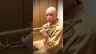🎺 たった2本で世界が変わる。#神ワザ #トランペット #2fingers #tonehack #簡単すぎてヤバい #JazzTips #trumpet