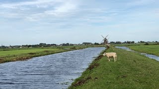 20180921 ~ Quay between Mills #2 and #3 ~ Holland