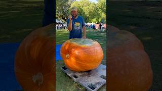 People Actually Race Inside Pumpkins