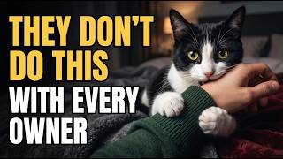 5 Rare Things Cats ONLY Do With Their Favorite Person