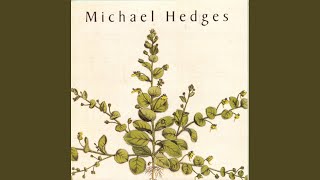 Video thumbnail of "Michael Hedges - Point A"