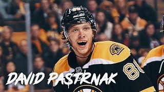 David Pastrnak Stick, Skates, Gloves, Helmet, Pants & Visor