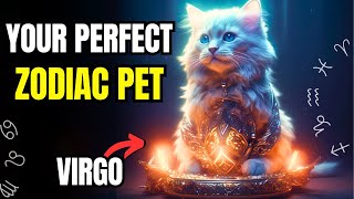 The Best Pet For You, Based On Your Zodiac Sign!