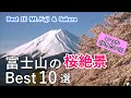 富士山の桜絶景ベスト10選 / 河口湖・新倉富士浅間神社・冨士霊園・狩宿の下馬桜・田貫湖など / Top 10 best views of Mt. Fuji and cherry blossoms