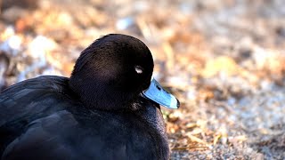 3 Hours of Morning Piano Music: Quiet Rising