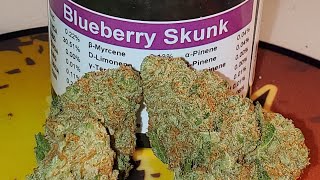 Blueberry Skunk flower by Gleaf Extracts Maryland Medical Cannabis