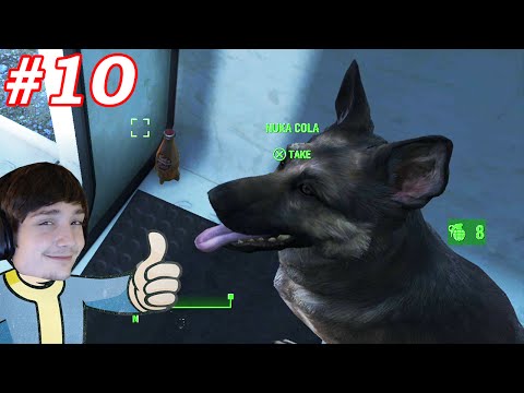 xCodeh - "MY DOG IS LEGENDARY" (Fallout 4) #10