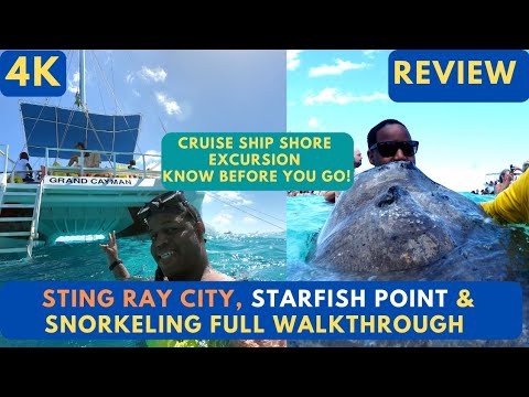Video: Stingray City, Grand Cayman Island: la guida completa