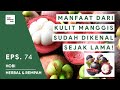 MANFAAT KULIT MANGGIS UNTUK KESEHATAN - HERBAL REMPAH INDONESIA #74