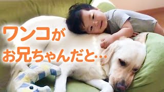 お兄ちゃんになったワンコ♡ 優しい光景が広がる毎日です