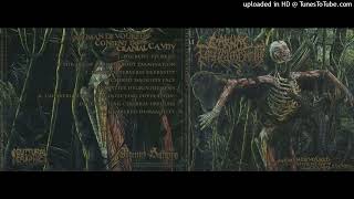 Carnal Disfigurement - Dismembered Human Filet